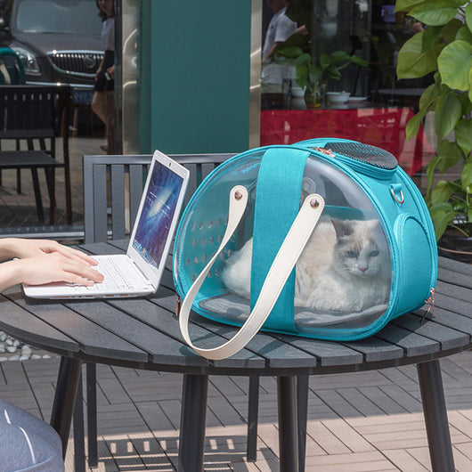 Ragdoll cat peeking from a dark grey pet carrier with transparent sides, ventilation holes, and rose gold zippers. - Image 3
