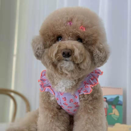 Falda Protectora para Perros Pequeños, Medianos y Grandes - Image 23