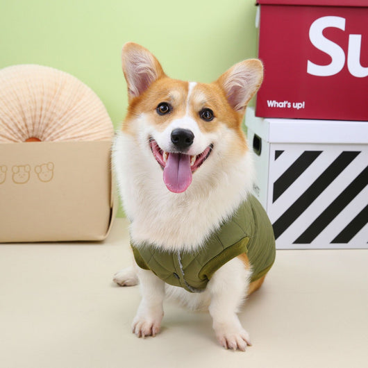 Abrigo Acolchado para Corgi Otoño Invierno con Diseño de Diamantes - Image 14