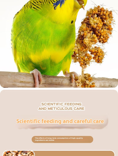 Alimento Premium para Loros y Aves Exóticas - Fórmula Xuanfeng - Image 9
