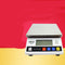 Báscula Electrónica de Alta Precisión 110V - Versión Profesional