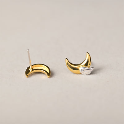 Aretes de Plata 925 Alas de Luna - Sueños Hechos Realidad - Image 13