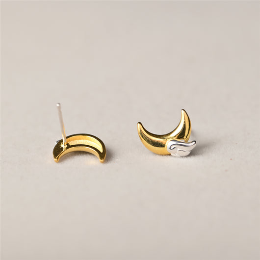Aretes de Plata 925 Alas de Luna - Sueños Hechos Realidad - Image 13