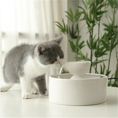 Fuente de Agua Cerámica Inteligente para Gatos con Circulación Continua - Image 15