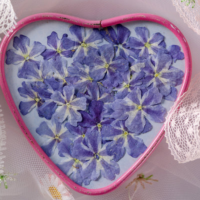 Marcapáginas con Flor de Cerezo Deshidratada - Accesorio Ornamental con Espécimen Botánico - Image 2