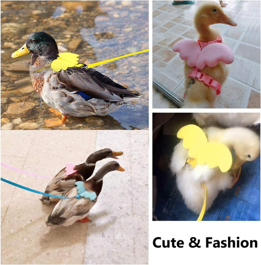 Arnés Ajustable con Alas y Cuerda de Tracción para Aves de Corral y Mascotas Pequeñas - Image 5