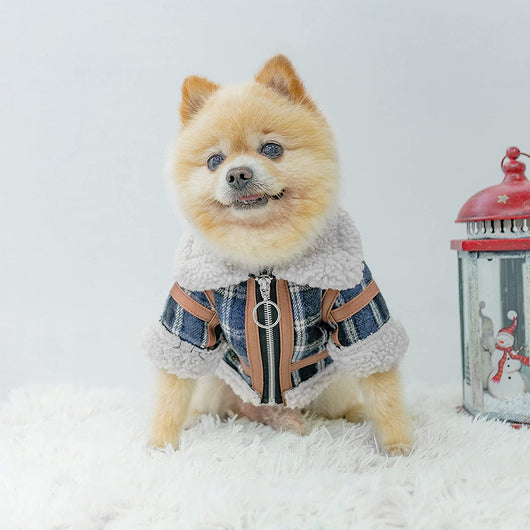 Abrigo Cuadrille para Mascotas - Invierno Cálido con Forro de Lana - Image 11
