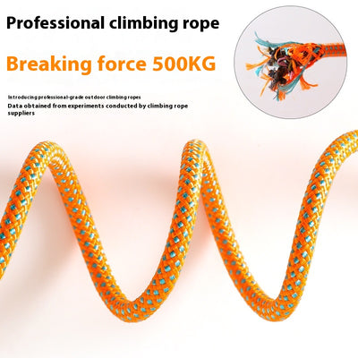Red anti-knot competition grade P rope dog leash with a padded handle and metal hardware. - Image 2