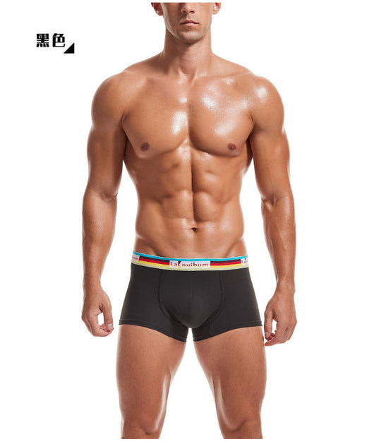 Bóxers de Algodón de Tiro Medio para Hombre con Cintura Arcoíris - Image 22