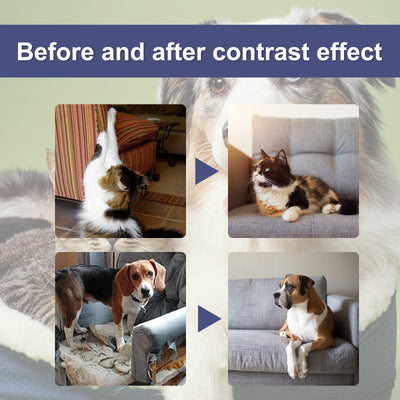 Spray Repelente Anti-arañazos para Perros y Gatos - Protege Puertas y Muebles - Image 17