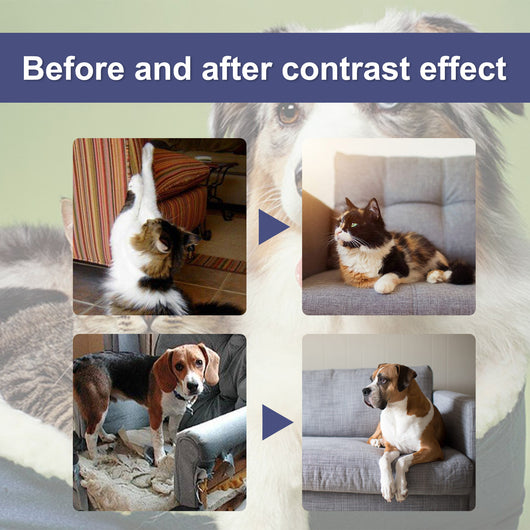 Spray Repelente Anti-arañazos para Perros y Gatos - Protege Puertas y Muebles - Image 17
