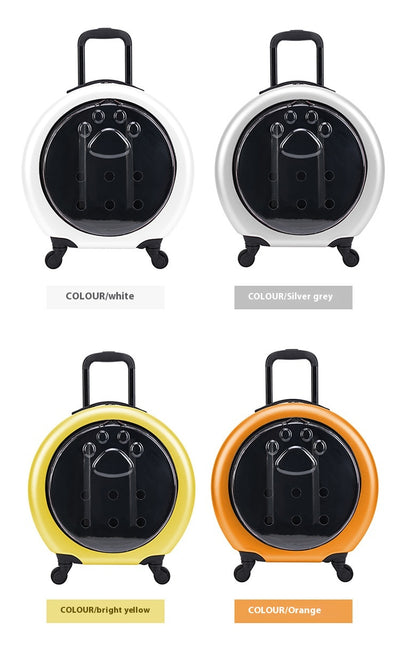 Bolsa Transportadora Transparente Reforzada para Mascotas - Gatos y Perros - Image 25