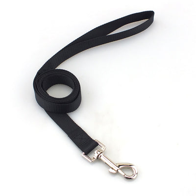 Cuerda de Paseo para Perros de Nylon Resistente - Image 7