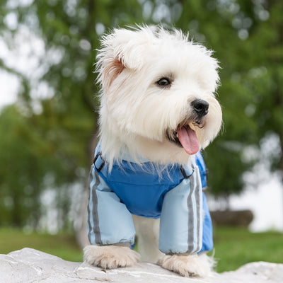 Abrigo Impermeable para Perros Pequeños y Medianos - Protección Total Otoño/Invierno - Image 26