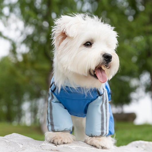 Abrigo Impermeable para Perros Pequeños y Medianos - Protección Total Otoño/Invierno - Image 26