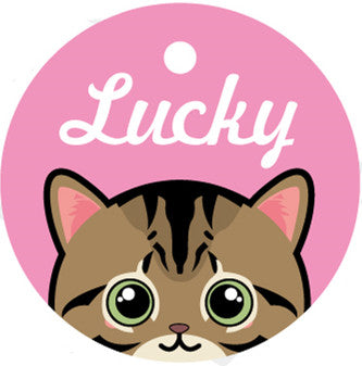 Placa de Identidad Personalizada para Mascotas - Image 10