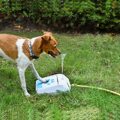 Comedero Inteligente para Perros con Juguetes Estimulantes - Image 10