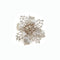 Champagne 10 Cm