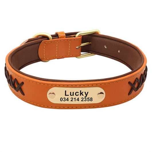 Collar Identificación Perros Medianos y Grandes Antiextravío - Image 4