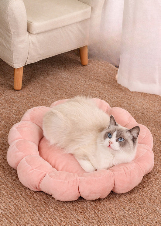 Cama Nido Doble Cara para Perros y Gatos 50x50cm - Diseño Pétalos Multicolor - Image 13