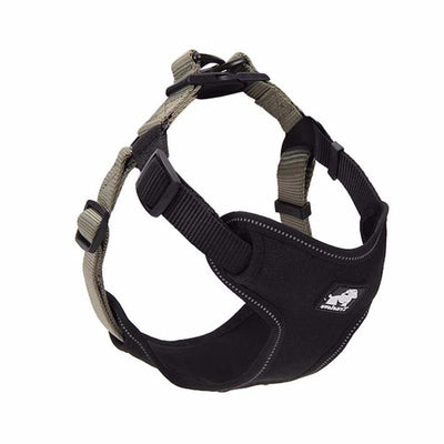 Correa y Collar para Pasear Perros - Control Seguro y Cómodo - Image 4