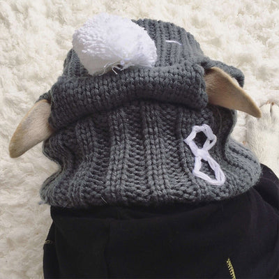 Gorro Divertido para Bulldog Francés y Pug - Image 3