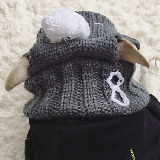 Gorro Divertido para Bulldog Francés y Pug - Image 3
