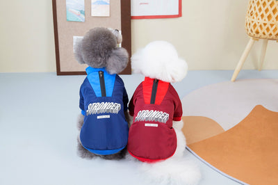 Abrigo Térmico V para Perros - Diseño Acolchado y Resistente - Image 23