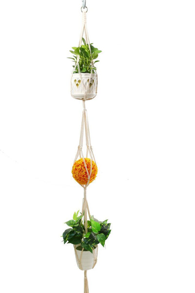 Colgador de Plantas Tejido Artesanal para Pared - Image 11