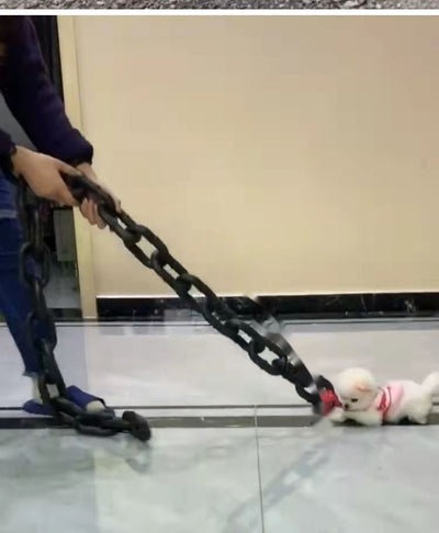 Correa para Perro Estilo Influencer - Accesorio Viral para Videos y Paseos - Image 11