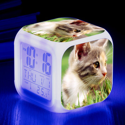 Reloj Despertador Cuadrado Multicolor para Gatos - Image 39