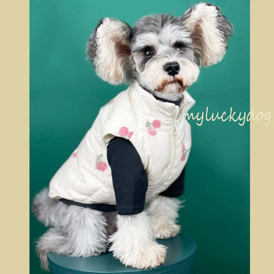 Chaleco Térmico para Perros - Abrigo Cereza Otoño e Invierno - Image 11