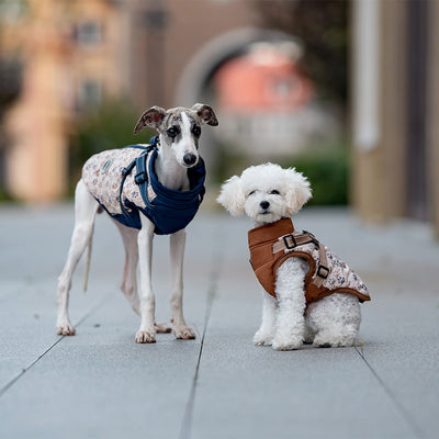 Abrigo Térmico para Perros - Chaleco Acolchado Invierno - Image 14