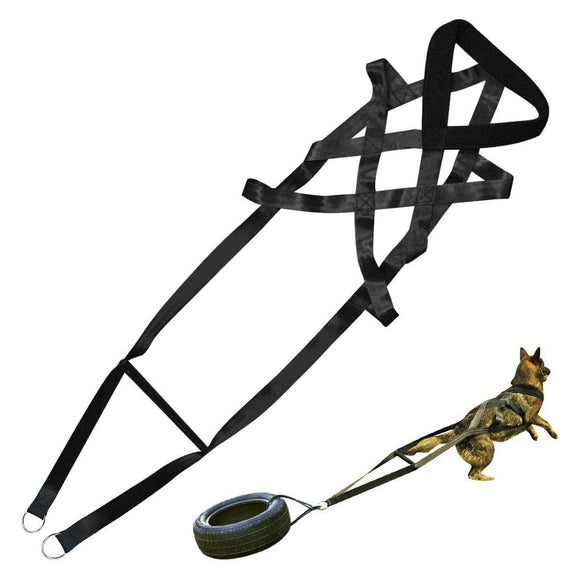 Arnés de Pecho para Perros - Sistema de Entrenamiento Seguro