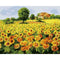 Style 7574 40 X 50 Cm