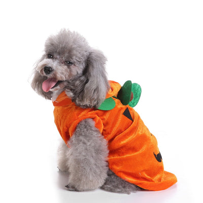 Ropa Festiva para Perros - Disfraces Halloween y Navidad - Image 10