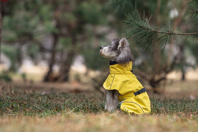 Poncho Impermeable Universal para Perros Pequeños y Medianos - Image 16