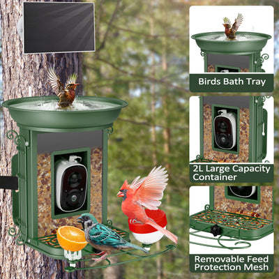 Comedero Inteligente para Aves con Energía Solar e IA - Image 3