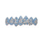 Z 8 teeth fangs vampire zircon hip hop braces Silver Lower teeth