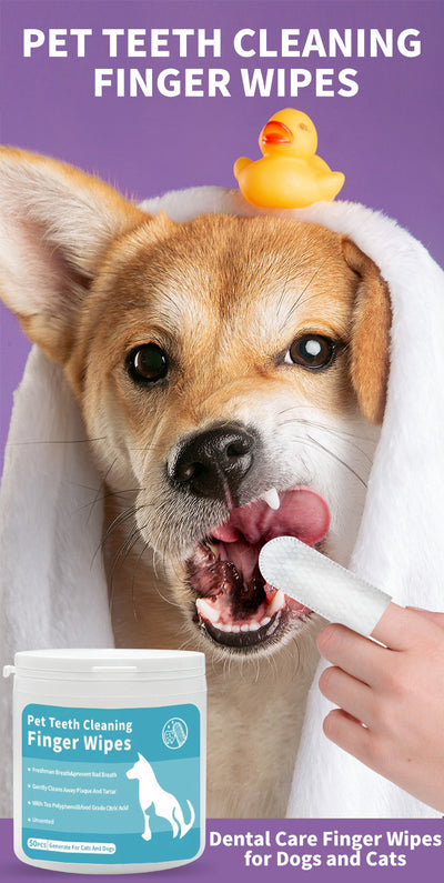 Kit Completo de Higiene Dental y Cuidado de Oídos para Mascotas - Image 21