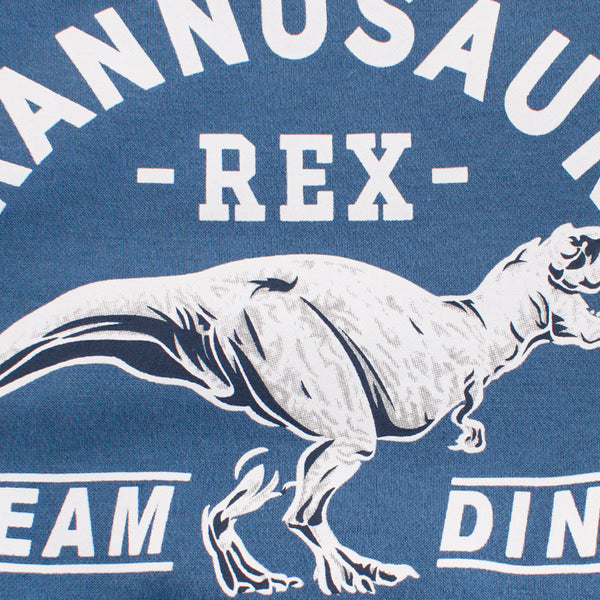 Suéter Infantil con Estampado de Dinosaurio