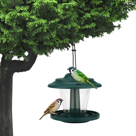 Comedero para Pájaros de Acrílico Transparente - Image 3