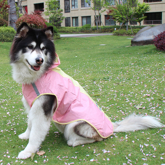 Impermeable Reflectante para Perros con Diseño Colorido - Image 8