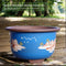 Pintado Azul 30 Cm Extra Grande