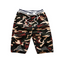 Camuflagem 2