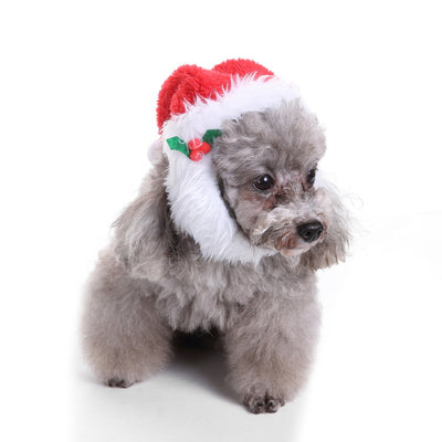 Gorro y Babero Navideño para Mascotas - Image 8