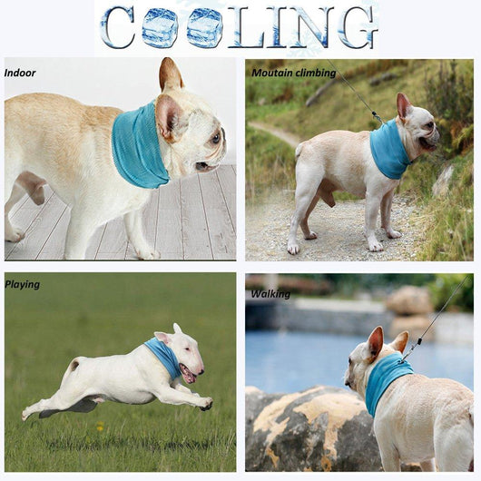 Pañoleta Refrescante para Mascotas - Protección contra Golpe de Calor - Image 2
