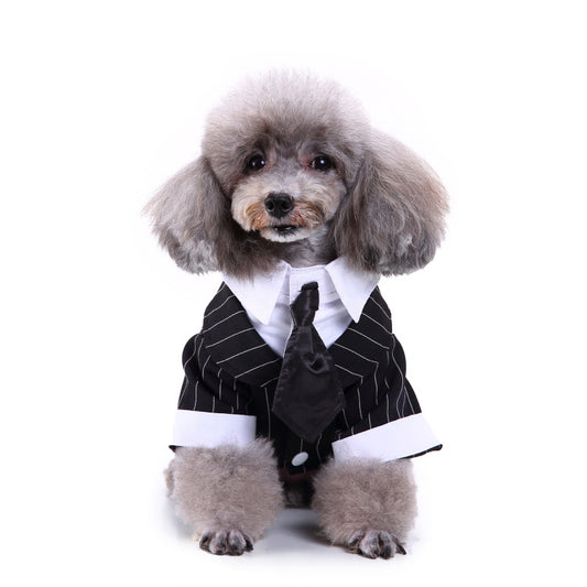 Conjunto de Ropa para Perros - Traje Completo de Moda - Image 2