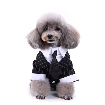 Conjunto de Ropa para Perros - Traje Completo de Moda - Image 2