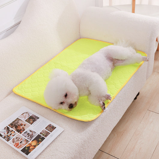 Pañal Lavable para Perros con Almohadilla Absorbente Antideslizante - Image 9